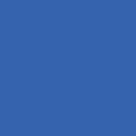 Champion Blue - Bright Blue 01