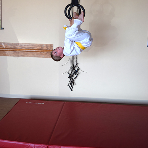 thick crash mat used under rings for martial arts