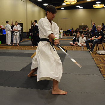 martial arts mats for sword weapons