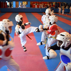 martial arts puzzle flooring thumbnail