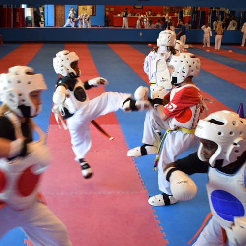 Taekwondo dojang mats