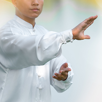 Chinese martial arts