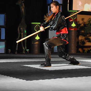the best martial arts mats for training with a Chinese bo
