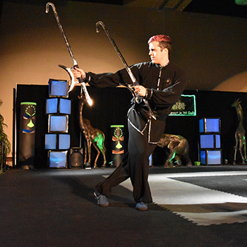 kung fu mats for double hook sword training