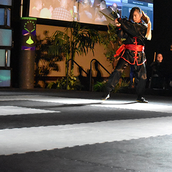 Kung Fu Martial Arts Mats