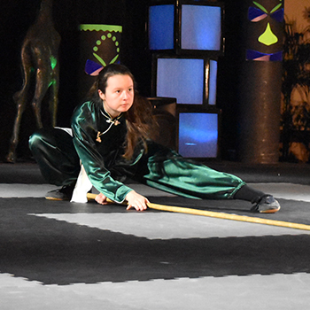 martial arts kung fu wearing shoes annika