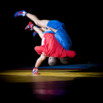 sambo martial arts mats or flooring