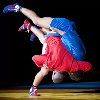 Details about   Mooto Indoor MMA Taekwondo TKD Shoese Marshoes 