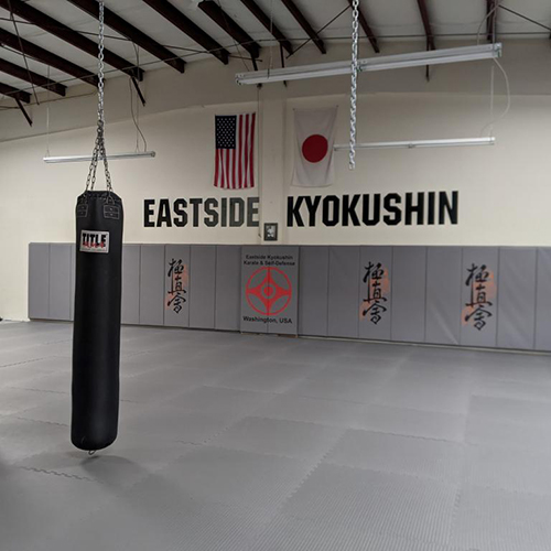 Gray Interlocking Grappling Mats in Dojo for Japanese Martial Arts