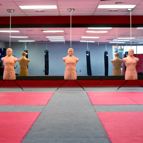 Martial Arts Puzzle Mats for MMA Gym