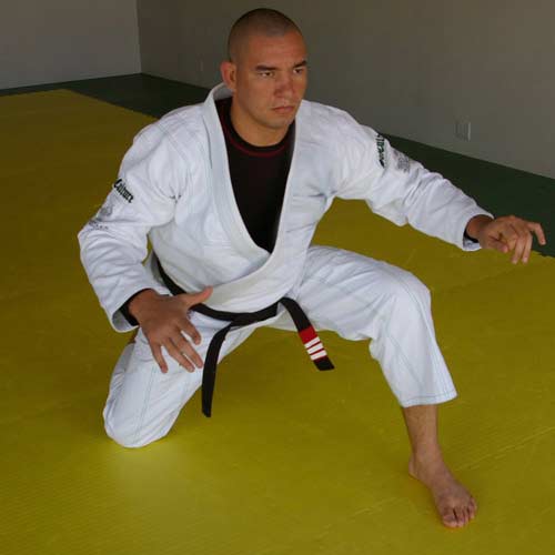 BJJ Puzzle Mats - Rodrigo Comprido Medeiros 2011