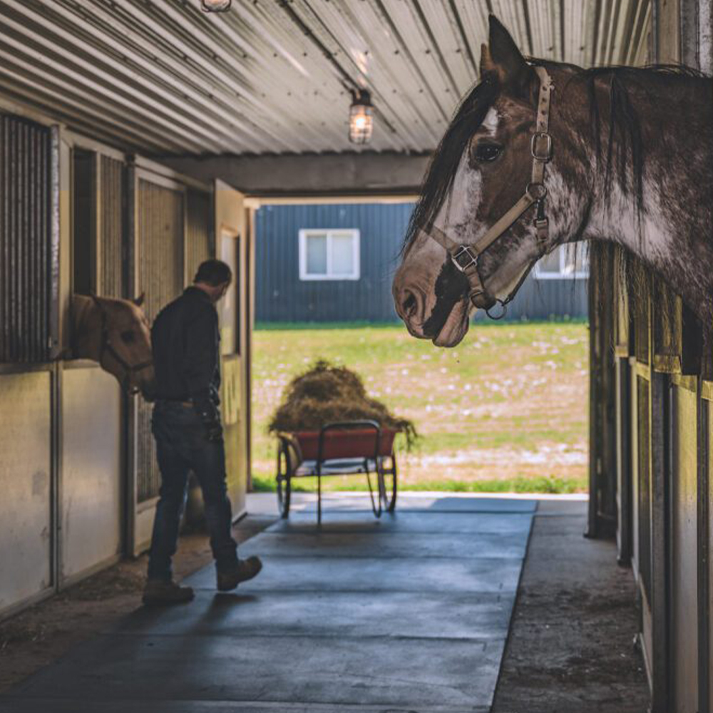 Rubber Mat Classic Straight Edge 1/2 Inch x 4x6 Ft. barn aisle with person and horses overlooking stalls