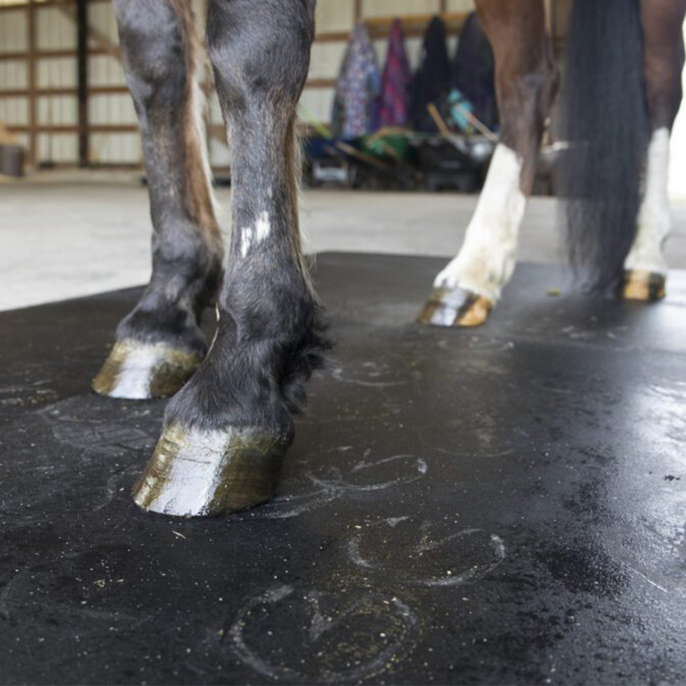 rubber stall mat shown with horse standing on it
