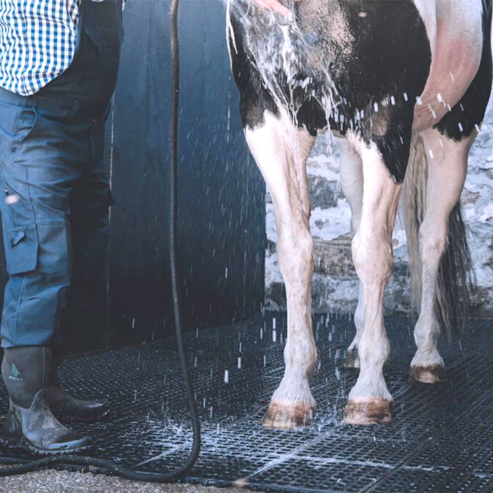 person washing horse in wash stall with rubber mats