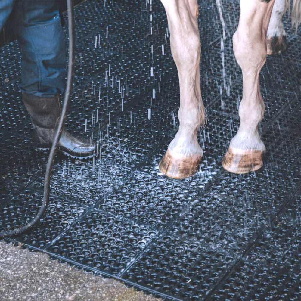 Wash Rack Classic Interlocking Mat 1/2 Inch x 3x3 Ft. rinsing horse with hose