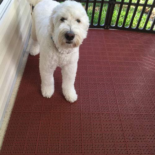 Screen In Porch Flooring Outdoor Tile for Dogs