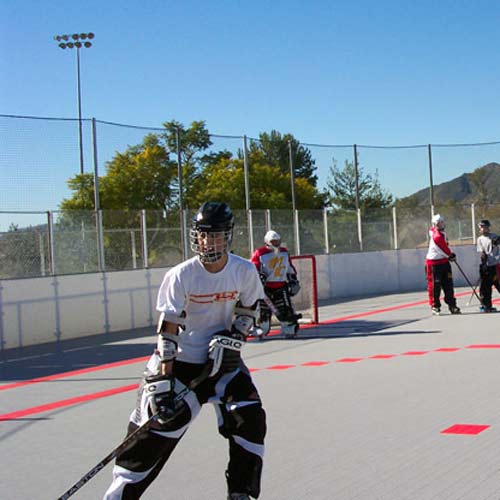 Roller Hockey the Sport