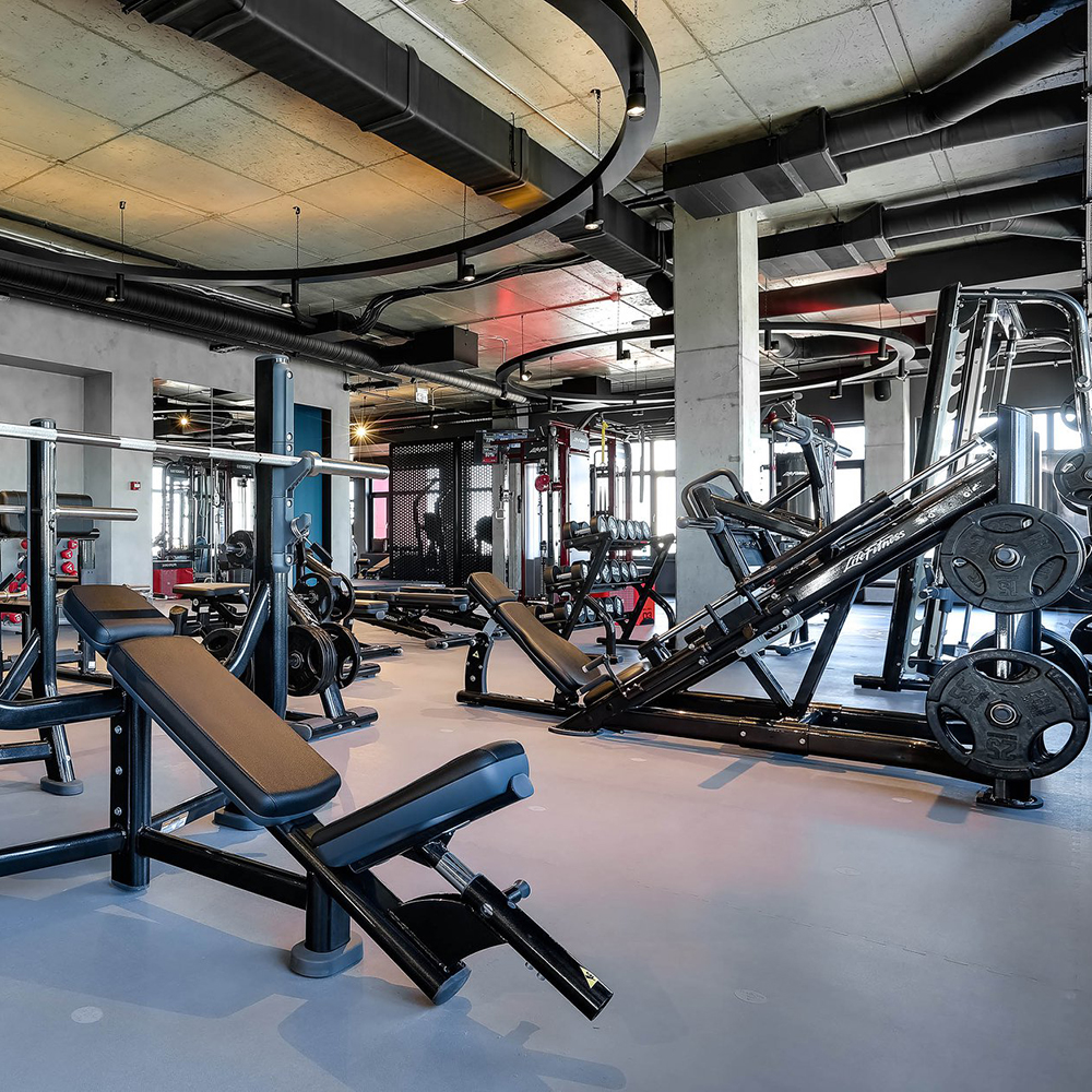 Fitness PaviGym Floor