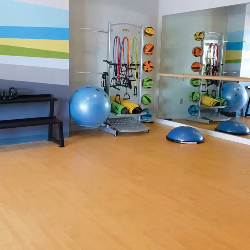 Wood Grain Vinyl Flooring for Large Area Cardio Exercise Mat