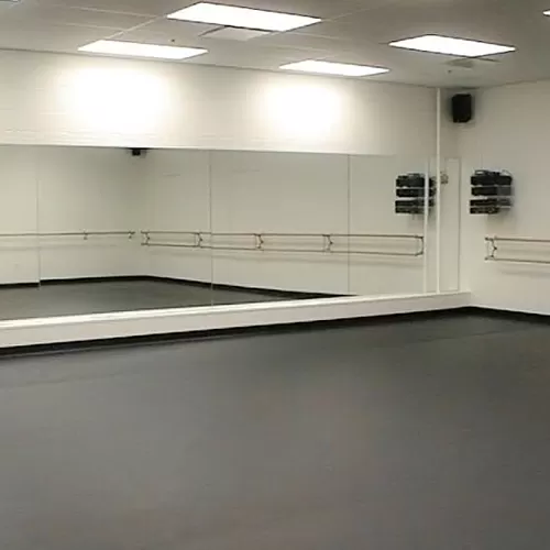 Standard XL Marley Dance Floor Studio