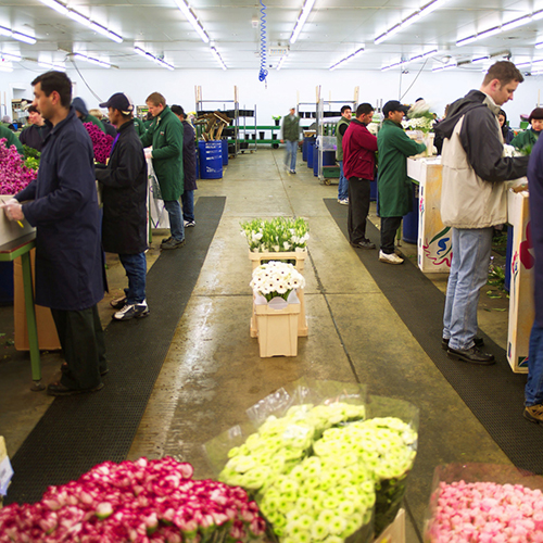 Heronair Industrial Matting 2 x 33 ft Roll at Farmer's Market