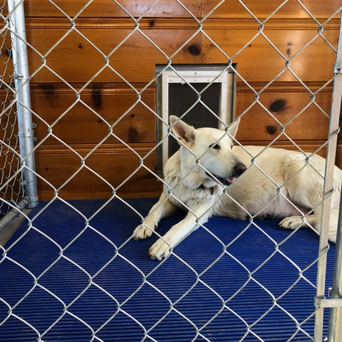 HVD Kennel Matting Roll