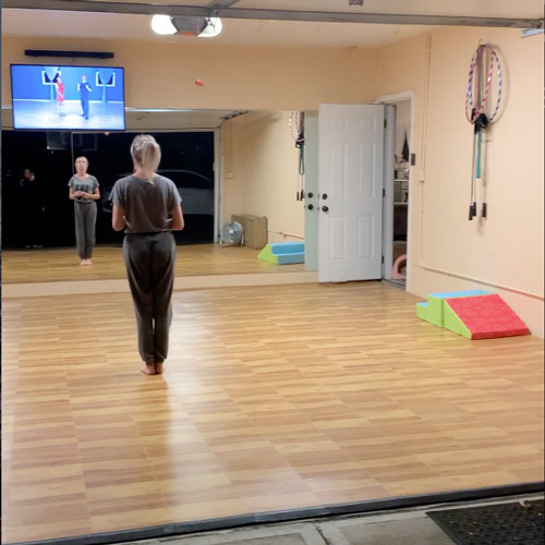 Basement Dance and Fitness Area Floor Tiles