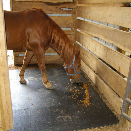 horse in stall feeding on rubber mats
