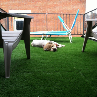 Artificial Turf Terrace