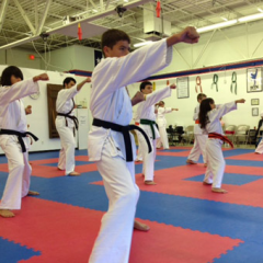TaeKwonDo are perfect for professional dojo installations thumbnail
