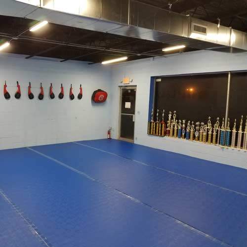 popular flooring options in AL for martial arts gym
