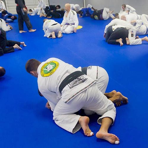 Roll Out Mats Jiu Jitsu Tatami Smooth Surface1-5/8 Inch two grapplers.