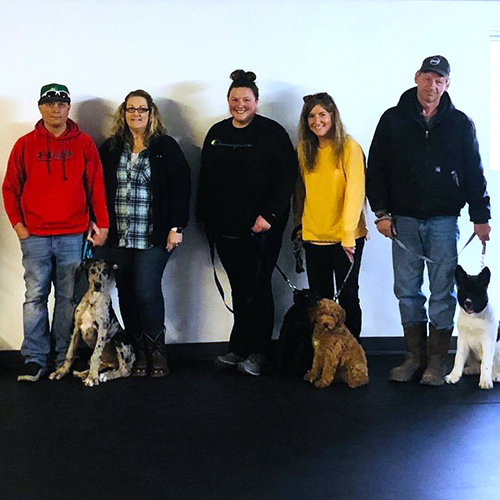 Rolled Rubber Flooring for Dog Training