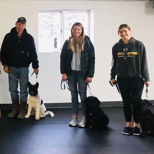 black rubber flooring for dog training facility