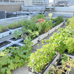 Best outdoor flooring for garden on the roof thumbnail
