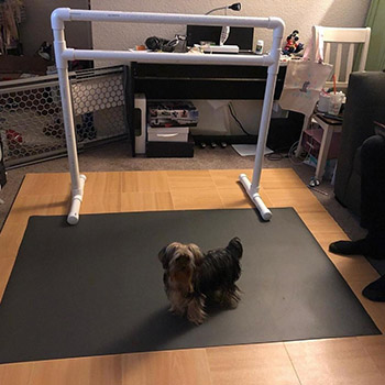 bedroom dance flooring