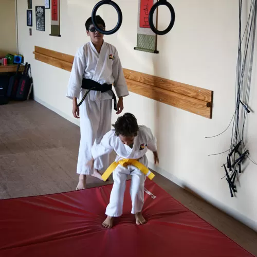 Safety Karate Mats Bi-Fold 5x10 ft x 4 inch rings landing