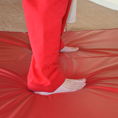 Fold Out Mats being used for Martial Arts and Aikido