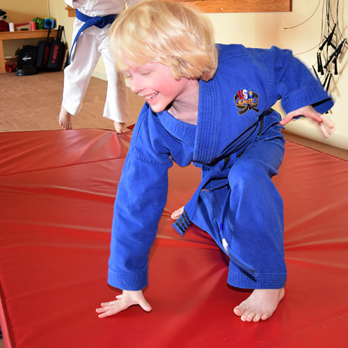 judo crash pad size