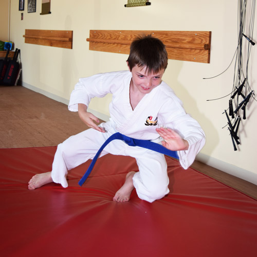 Safety Martial Arts Mats Bi-Fold 5x10 ft x 4 inch padded landing strike.