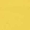 Safety Gymnastic Mats Single Fold 5x10 ft x 12 inch Yellow Swatch