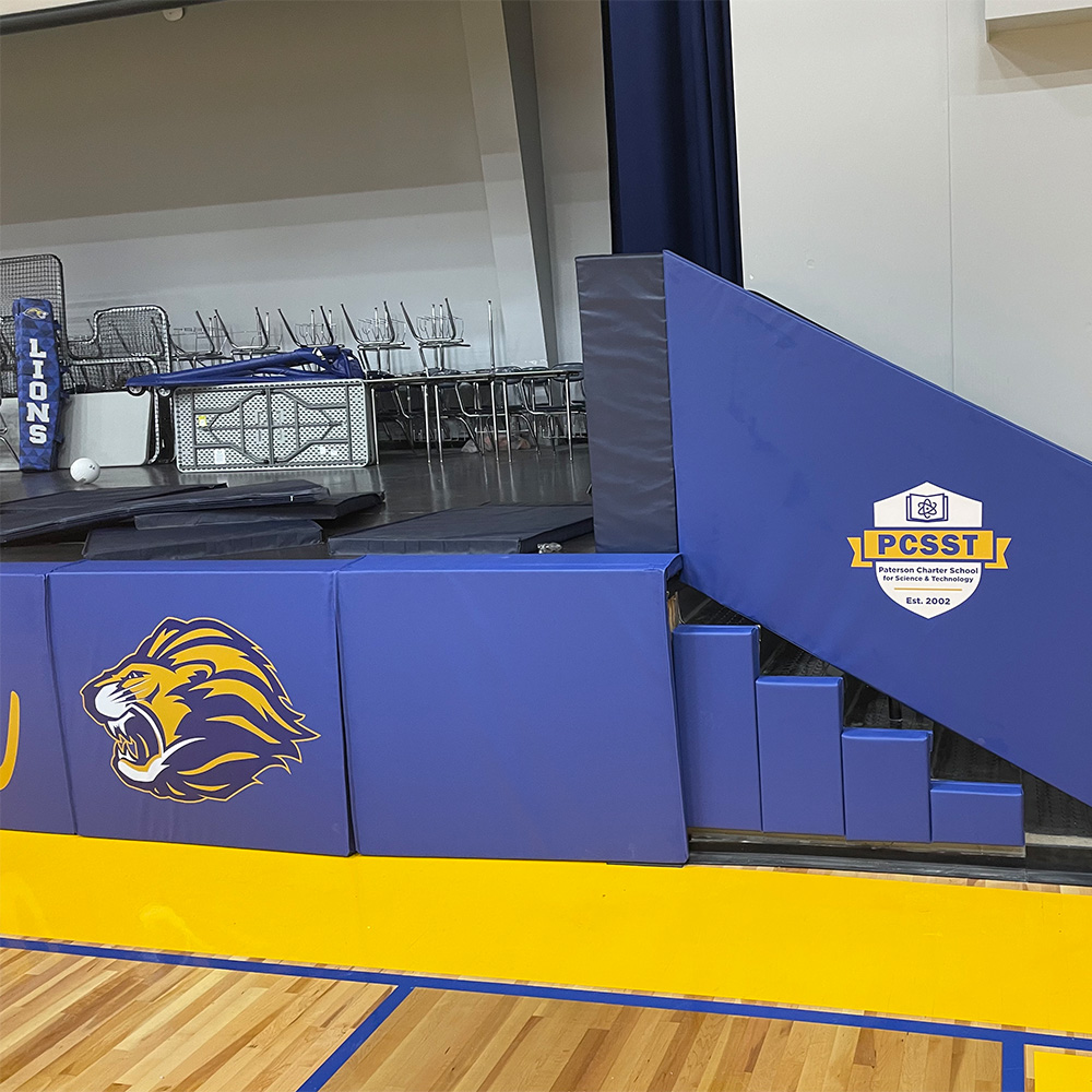blue stage mats with lion team logo