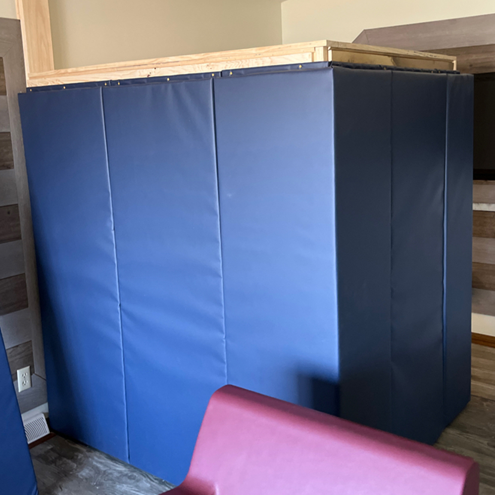 blue 2x6 foot safety wall pads installed in group disability home
