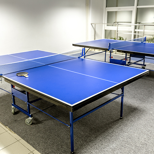 table tennis carpet flooring