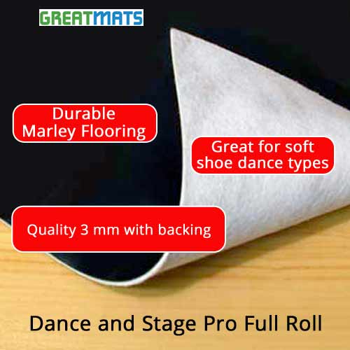 dance vinyl flooring roll