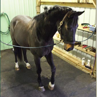 Heavy Duty Rubber Mats for Horse Stables