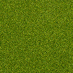 Summer Green