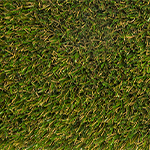 Field Green/Olive
