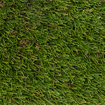 Field/Apple