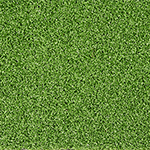 Meadow Green